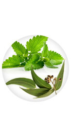 Ingredient 1